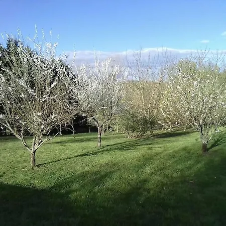 Dependance Pour 1 A 4 Pers Au Calme Dans Propriete Villa Marboz Buitenkant foto